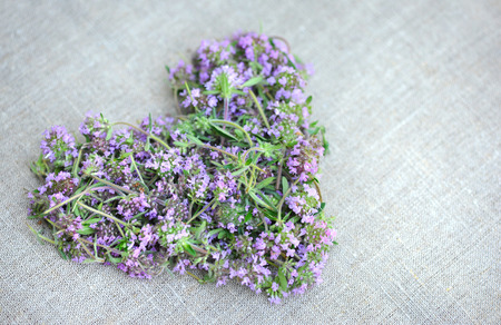 Heart from Thyme flowers on sackclothの写真素材
