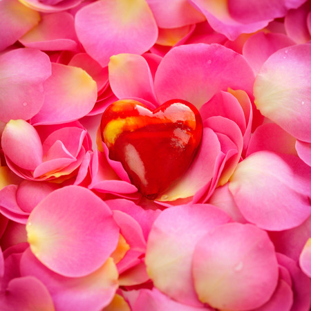 Decorative heart on a pink rose petalsの写真素材