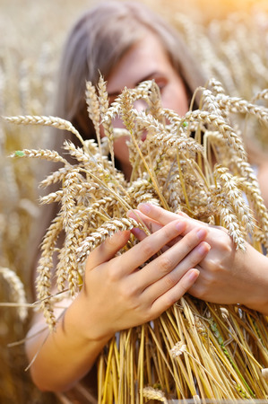 Women's hands embracing ears of wheat in fieldの写真素材