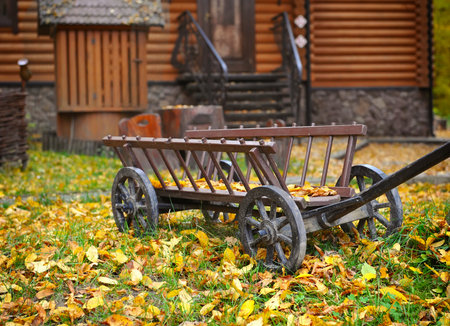 Vintage wooden cart in the yard in the autumn