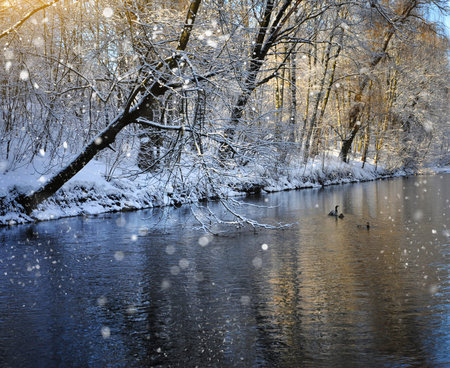 Beautiful winter landscape with the lake
