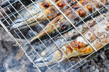 Grilled mackerels on the grill on campfireの写真素材