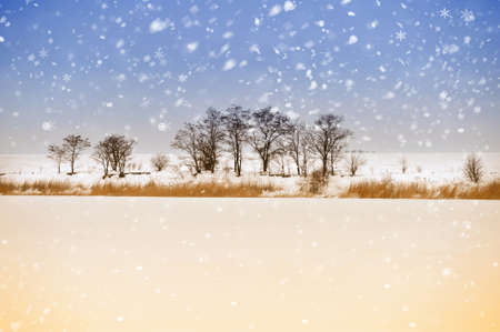 Winter landscapeの写真素材