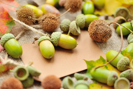 Blank paper sticker with autumn acorns and leavesの写真素材