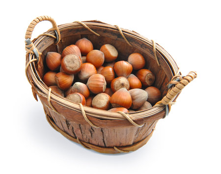 Filberts in the basket isolated on white backgroundの写真素材