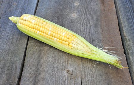 Organic fresh corn on wooden surface