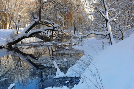 Winter landscape with the river in frosty day