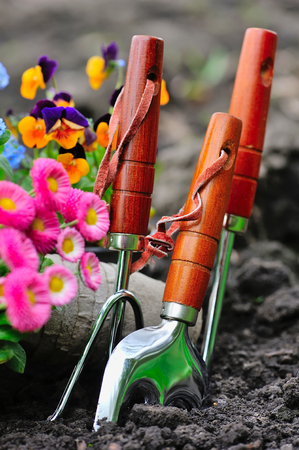 Gardening tools and spring flowers in the gardenの写真素材
