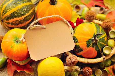 Blank paper sticker with Mini decorative pumpkins and autumn leavesの写真素材