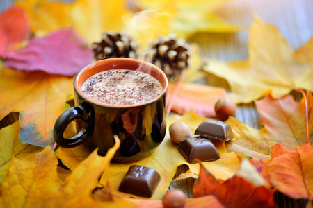 Autumn Cup of coffee, nuts, pine cones, chocolate and autumn leaves. Autumn background. Autumn scene. Coffee and autumn leaves.の写真素材