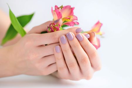 Hands of a woman with dark red manicure on nails and flowers alstroemeria on a white backgroundの写真素材