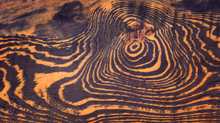 Wood texture with natural pattern. Dark wooden backgroundの写真素材