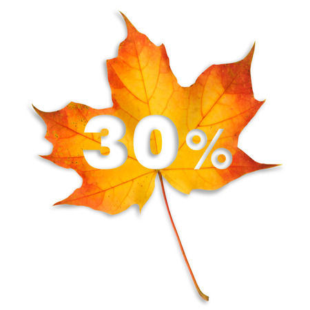 Autumn sale - 30%. Colorful maple leaf with text on white background.の写真素材