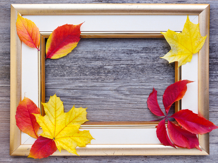 Autumn composition. A light picture frame with fall leaves on old wooden background. Top view.の写真素材