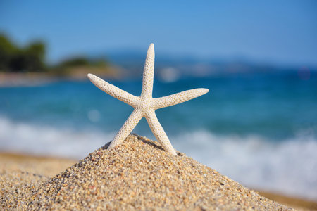 A white starfish on the beach against the background of the sea and the blue sky on a hot sunny day