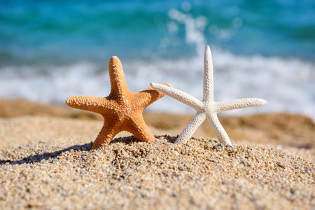 Beautiful sea stars on the beach against the background of the sea and waves on a hot sunny day