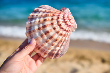 Woman's hand holds a sea shell against the background of the sea. Summer vacation concept