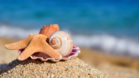 Shells and starfish on the beach against the background of the sea on a hot sunny day. Summer...
