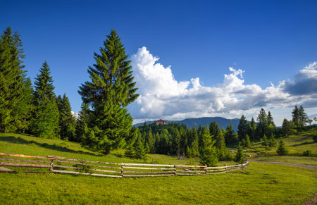 Summer landscape in mountains and blue sky with clouds. Carpathian, Ukraine, Europe.