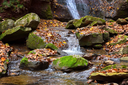 Beautiful landscape with stream in autumn forestの写真素材