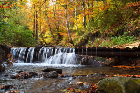 Beautiful landscape with a waterfall in the autumn forest. Autumn sunny day