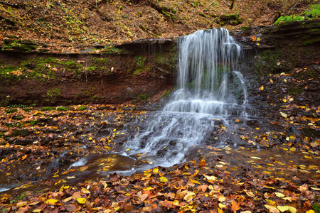 Beautiful landscape with a waterfall in the autumn forest