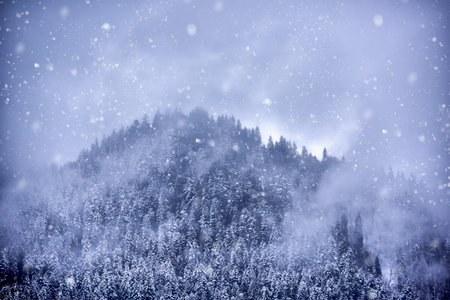 Snow blizzard in the mountain. Winter background