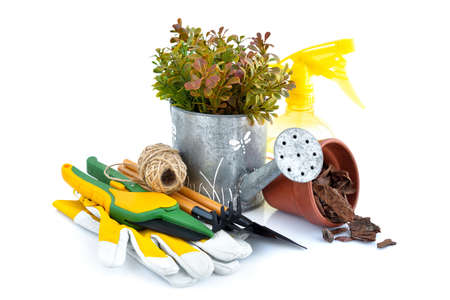 Garden tools, gloves, watering can, secateurs on white background. Gardening concept. Preparation for workの写真素材