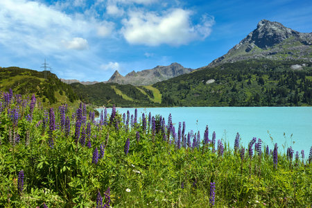 Reservoir lake with mountains epic landscape. Idyllic reservoir Kops lake at 1800 m in austrian...