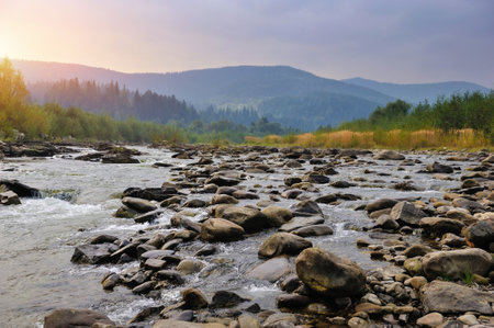Beautiful landscape of amazing sunset on a mountain river with stones on foreground and green bushes and trees on sidesの写真素材