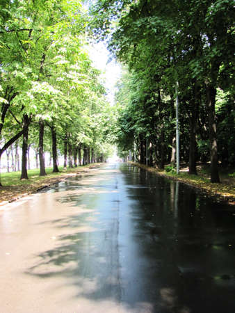 green channelの写真素材