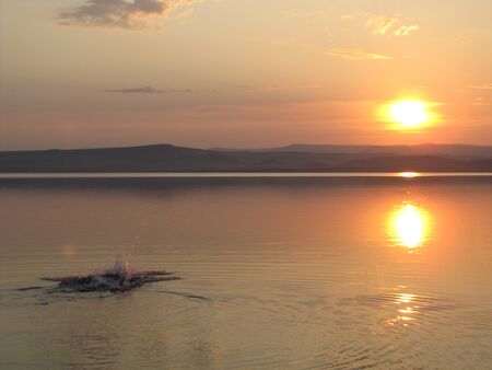 splash in water on the evening lakeの写真素材