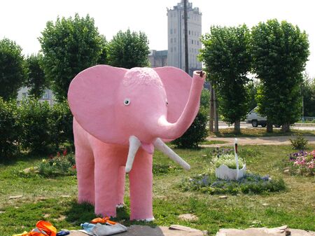 pink elephantの写真素材