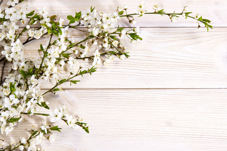 Spring background. Cherry flowers on a wooden background. Selective focus. Copy space. Banner. Springtime conceptの写真素材