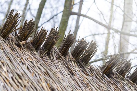 Roof of tree branches, hay or dry grass. Roof texture Dry straw, roof background texture.の写真素材