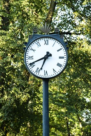 Clock in a green park outdoors near flower beds.の写真素材