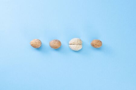 Walnut and brain mock up on a blue background. The shape of the human brain is similar to walnut kernels. This symbolizes the similarity of the brain to walnuts and the proven effectiveness as a healthyの写真素材