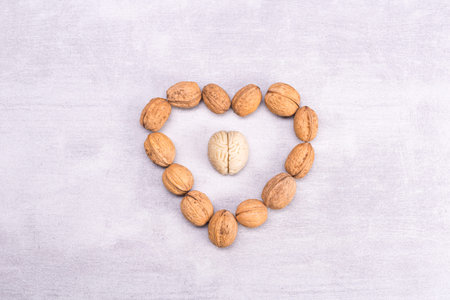 Walnuts love healthy brain foods. The shape of the human brain is surrounded by walnut kernels in...
