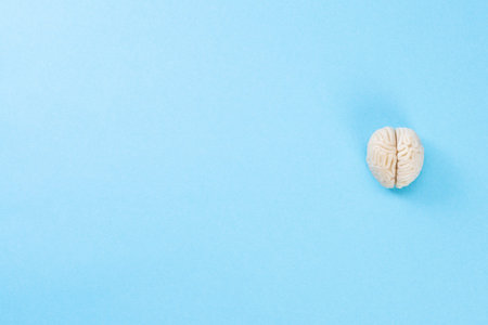 polymer clay brain, top view isolated on a blue background, place for text