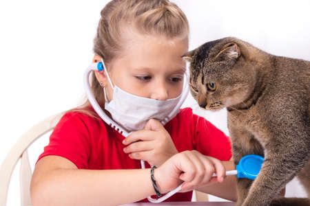 Little girl playing at the veterinary - consulting her little kittenの写真素材