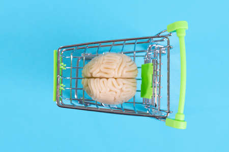 Human plastic brain in a shopping cart on a blue background, buying a brainの写真素材