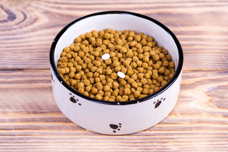 Cat food with two tablets in a bowl on the floor. Vitamins for cats. Treating cats.