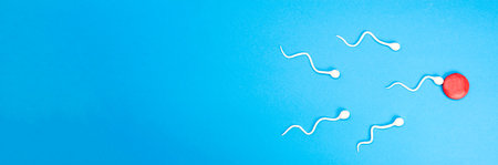 Active sperm swim in an egg on a blue background. The concept of pregnancy, fertilization of the...