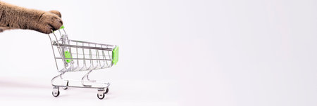 Cat paws pushing empty shopping cart on white background, shopping concept, products for cats, empty...