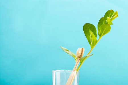 Eco-friendly bamboo toothbrush. Pastel background. Zero waste, life without plastic.の写真素材