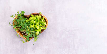 Microgreens in a wooden plate in the form of a heart on the table, healthy food conceptの写真素材