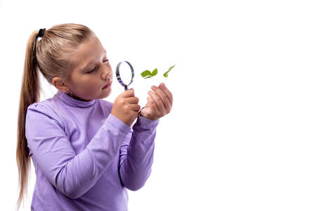 Cute caucasian little girl looking at a plant through a magnifying glass on a white background.の写真素材