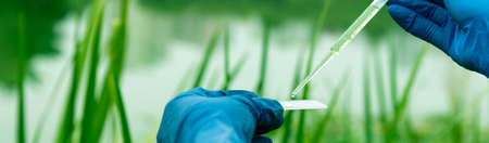 Sampling from open water. A scientist or biologist takes a water sample. Water sample in a chemical test tube with a pipette.の写真素材