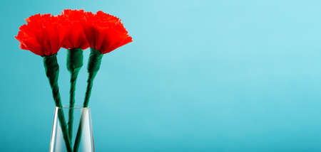 Corrugated paper carnation flower. Handmade flowers in a vase on a blue backgroundの写真素材