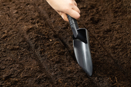 The farmer sets up seed beds with a gardening tool. Sowing seeds in open ground.